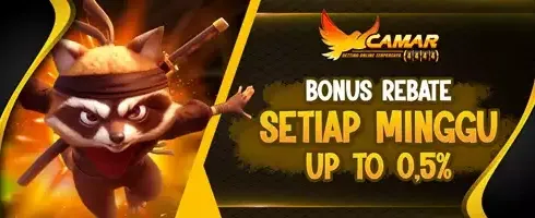 VIP Rebate Slot Game Up To 0.5% promotion banner